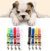 Pet Car Seat Belt Adjustable