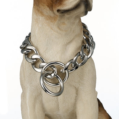 Jewelry Dog