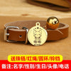 custom-engraved cat Necklace
