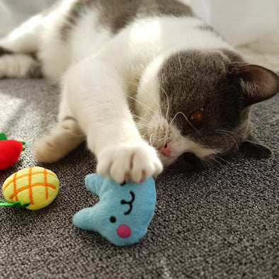 Buy any 3 (10) items get 20% (30%) off! Catnip Cat Toy Cat pillow