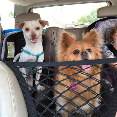 Pet Car Back Seat Barrier Mesh Dog Car Safety Travel Isolation Net Black