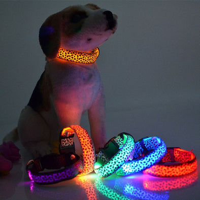 LED Dog Collar