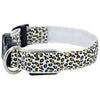 LED Dog Collar