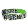 LED Dog Collar