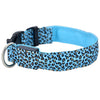 LED Dog Collar