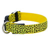 LED Dog Collar