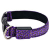 LED Dog Collar