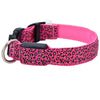 LED Dog Collar