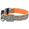 LED Dog Collar